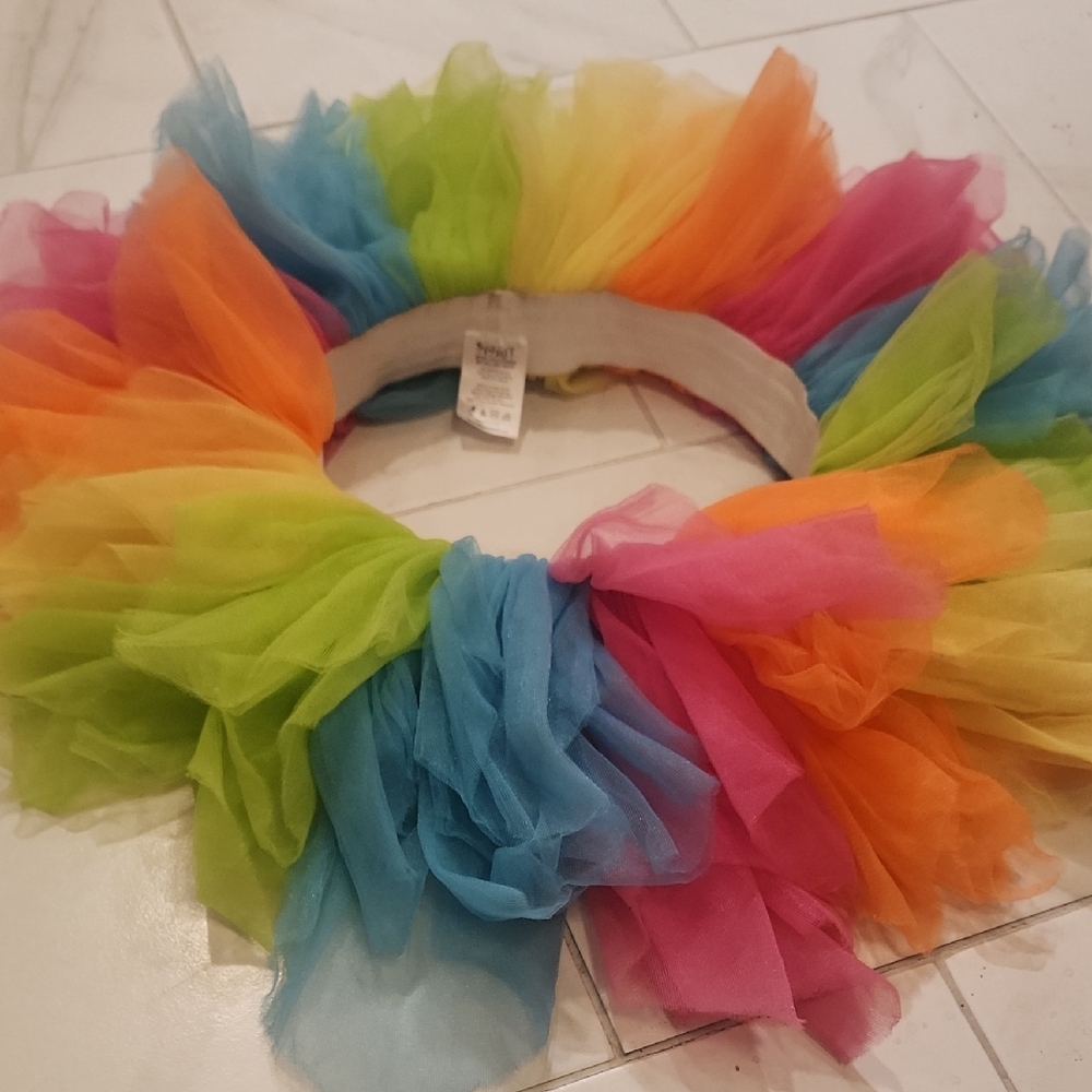 Spirit Multicolor Tulle Skirt